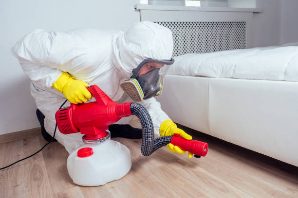 Best Wasp Removal Services  in Darien, IL