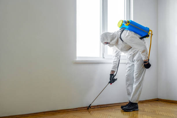 Best Affordable Pest Control Services  in Darien, IL