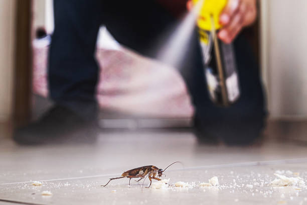 Best Pest Control Near Me in Darien, IL